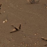 Previous image